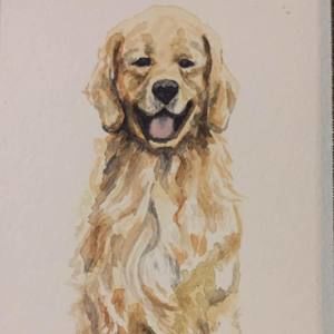 Meet your Posher, Bradley